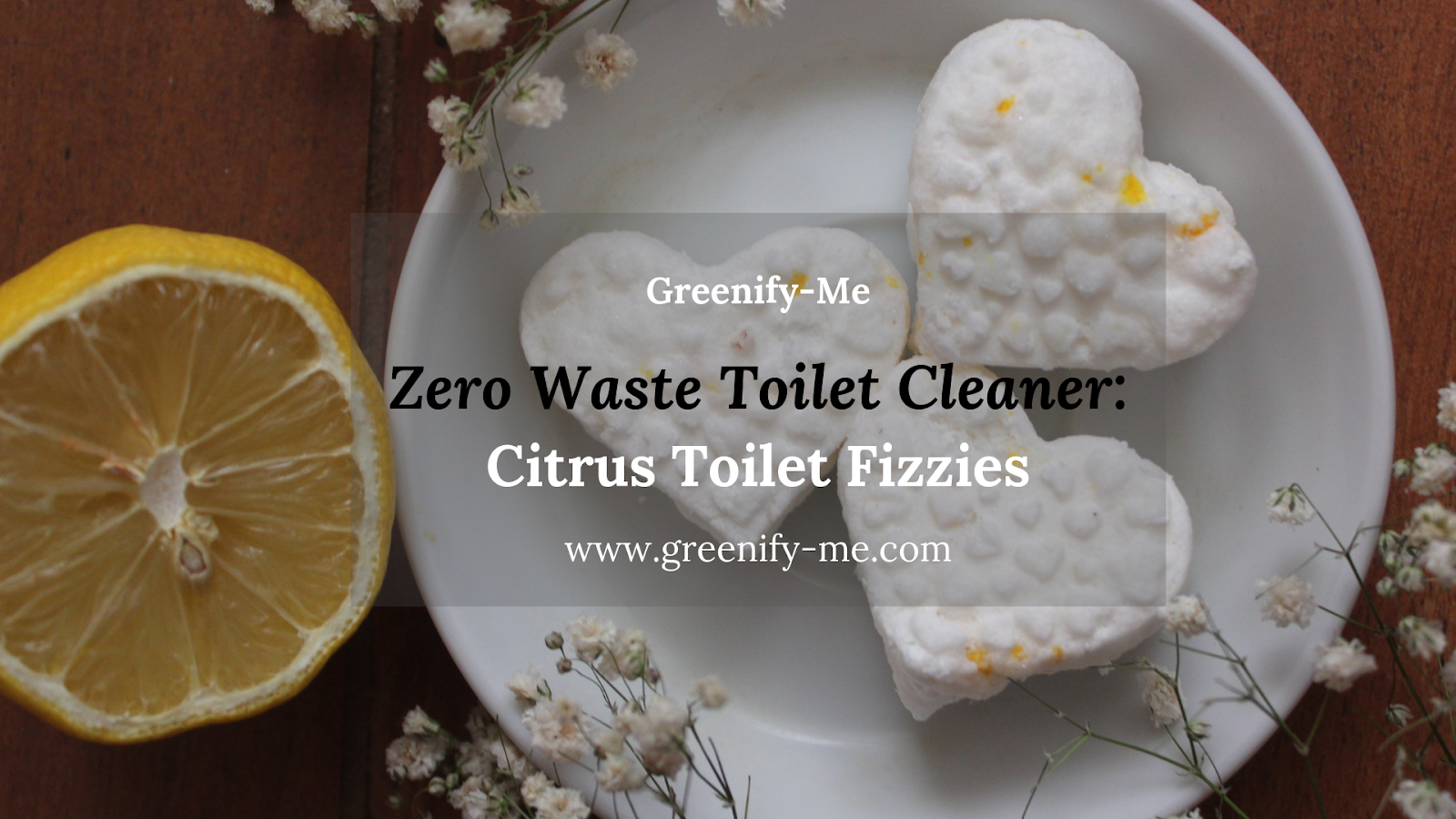 zero waste toilet cleaner