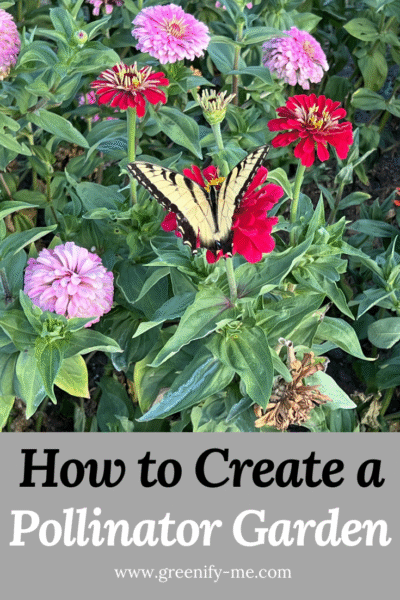 How to Create a Pollinator Garden