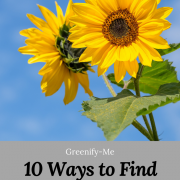 10 Ways to Find Joy Sustainably