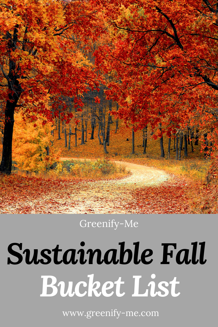Sustainable Fall Bucket List for 2023