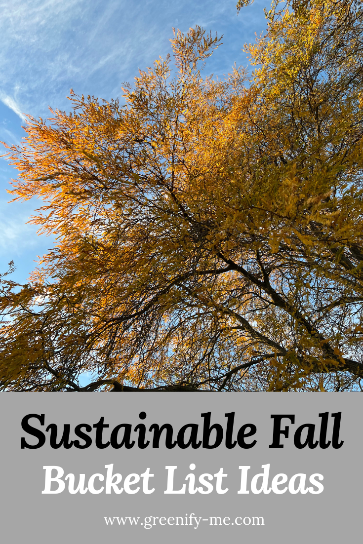 Sustainable Fall Bucket List for 2026