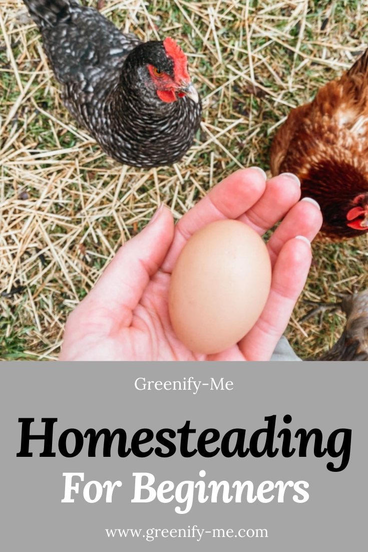 Homesteading For Beginners: 5 Tips To Get You Started