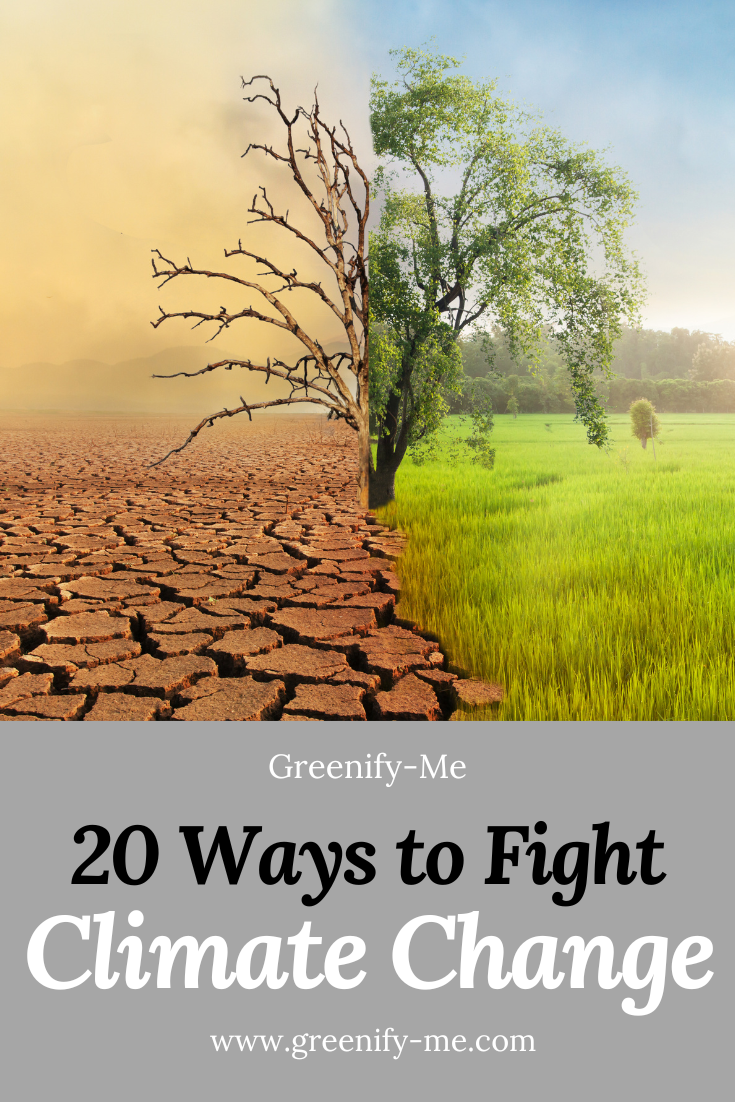 20 Ways to Fight Climate Change