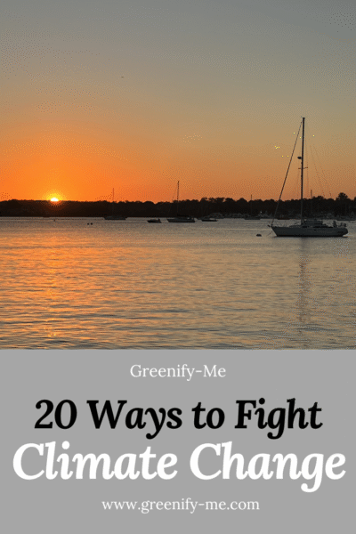 20 Ways to Fight Climate Change