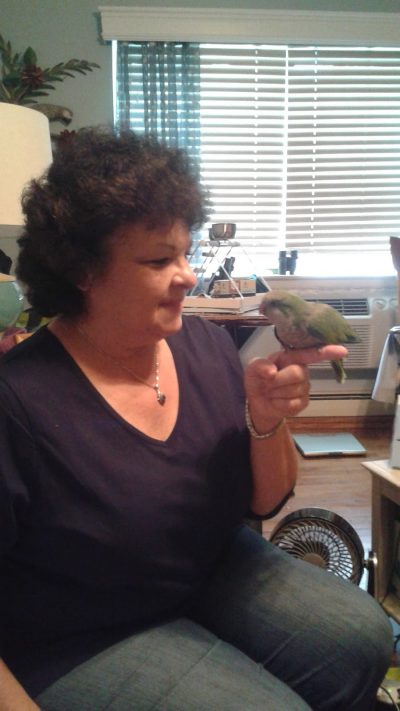 The art of birding: A bird lover’s story