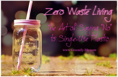 Zero Waste Living: The Art of Saying “No” to Single-Use Plastic