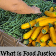 What is Food Justice + Why Is It Important?