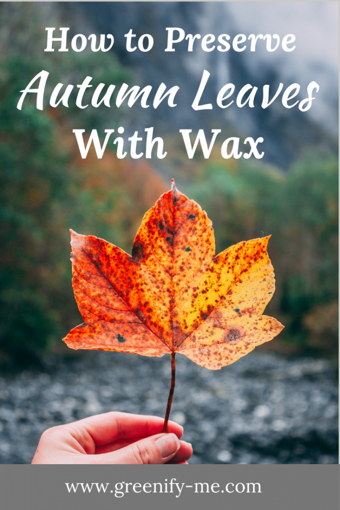 How to Preserve Autumn Leaves With Wax