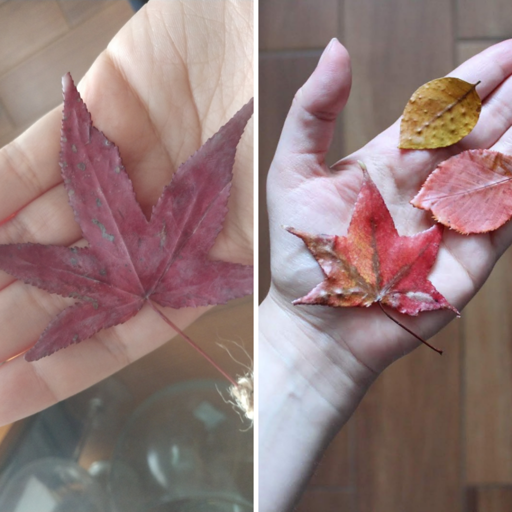 How to Preserve Autumn Leaves With Wax