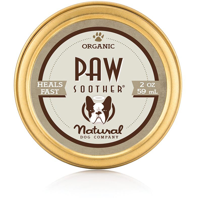 10 Zero Waste Pet Products For Dogs and Cats