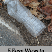 5 Easy Ways to Ditch Plastic