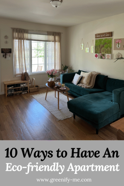 10 Ways to Have an Eco-Friendly Apartment