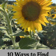 10 Ways to Find Joy Sustainably
