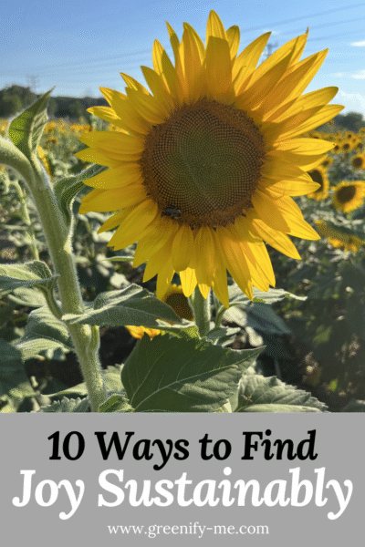 10 Ways to Find Joy Sustainably
