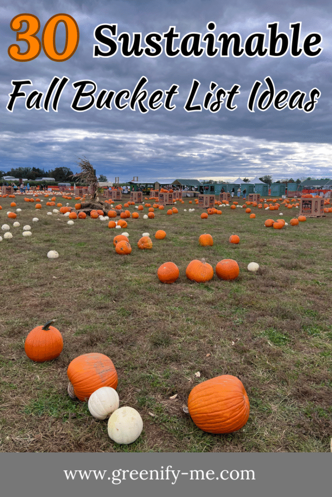 Sustainable Fall Bucket List for 2026