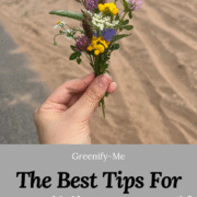 The Best Tips For Rewilding Yourself