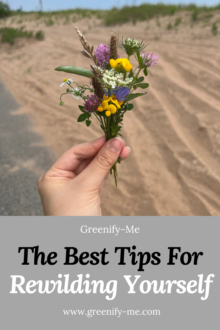 The Best Tips For Rewilding Yourself