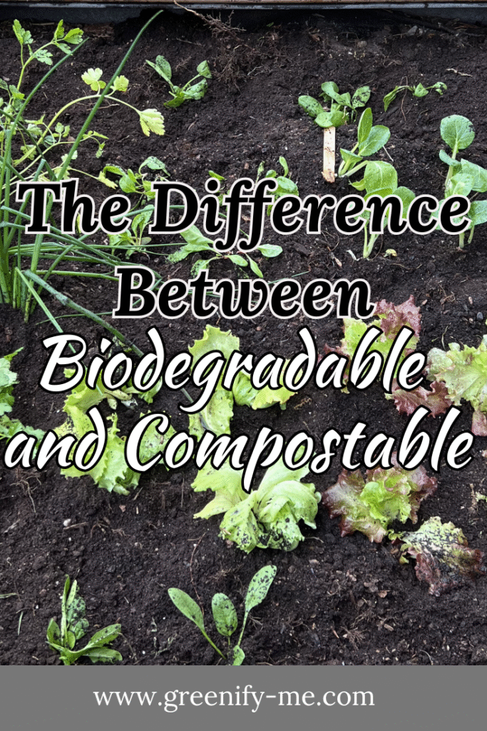 The Difference Between Biodegradable and Compostable
