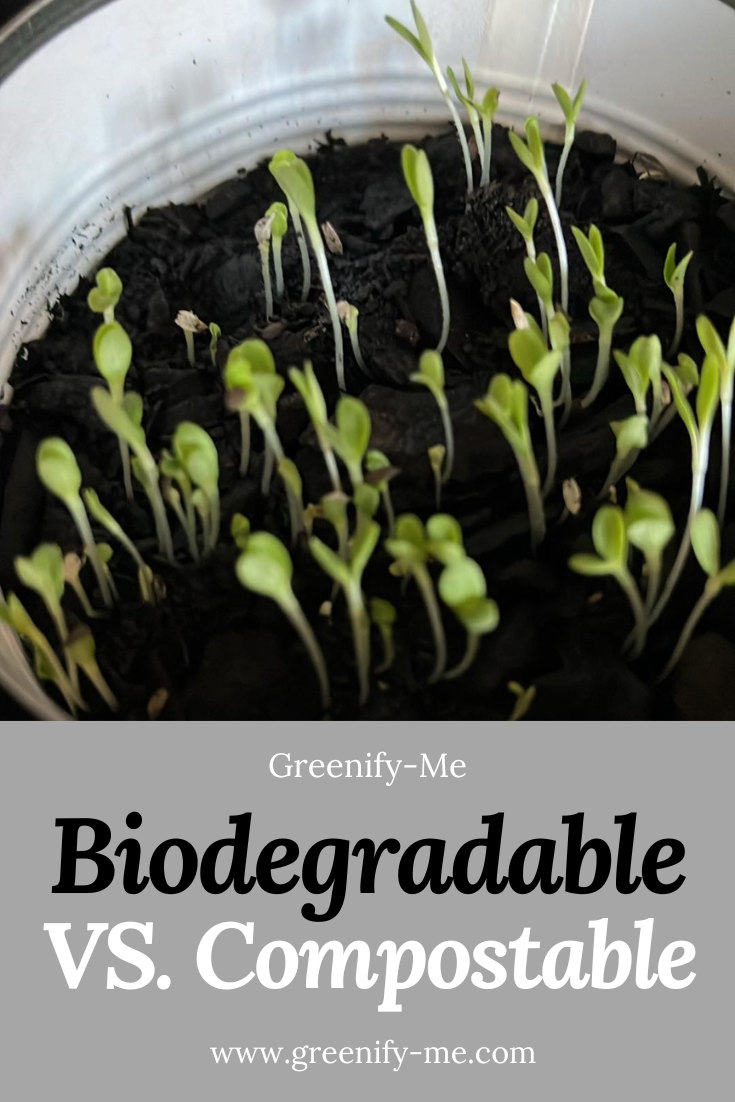 The Difference Between Biodegradable and Compostable