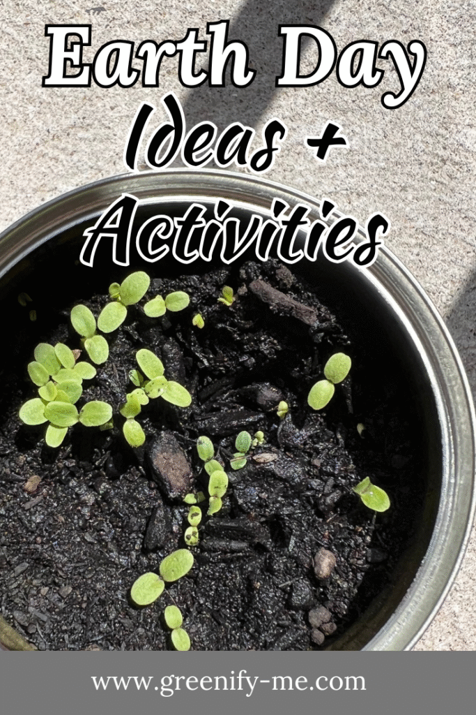 40 Earth Day Ideas + Activities