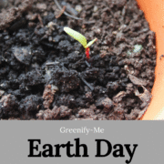 40 Earth Day Ideas and Activities