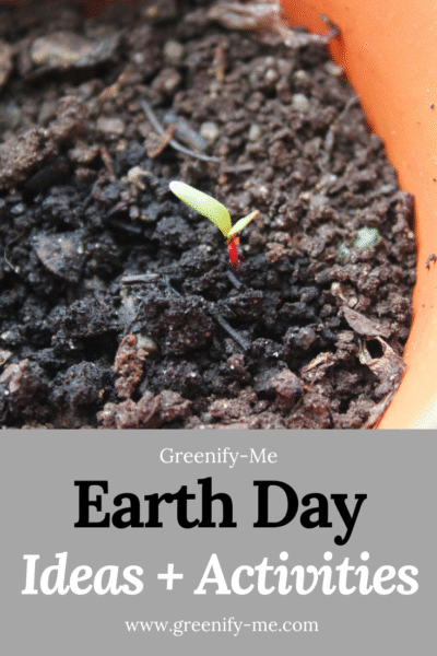 40 Earth Day Ideas + Activities