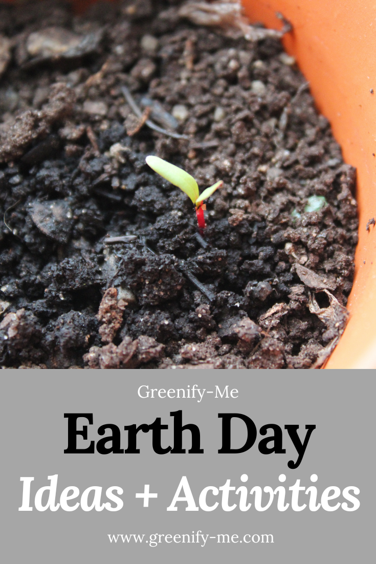 40 Earth Day Ideas + Activities