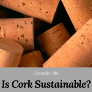 Is Cork Sustainable? Here's What You Need to Know
