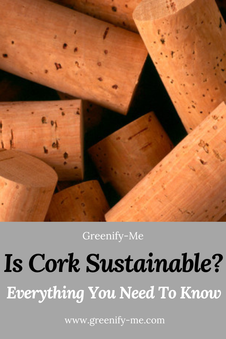 Is Cork Sustainable? Here’s What You Need to Know