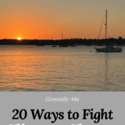 20 Ways to Fight Climate Change