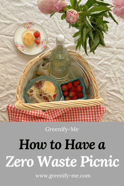 6 Tips for a Zero Waste Picnic Your Friends or Date Will Love