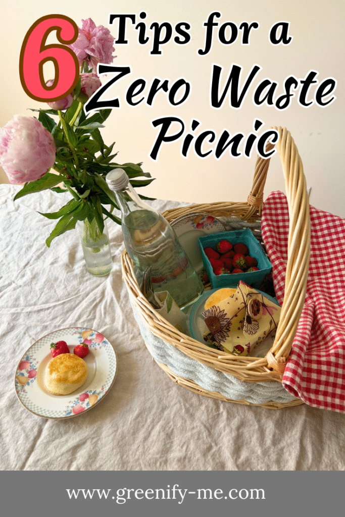 6 Tips for a Zero Waste Picnic Your Friends or Date Will Love