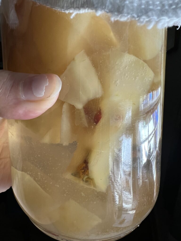 Easy Zero Waste Apple Cider Vinegar Recipe