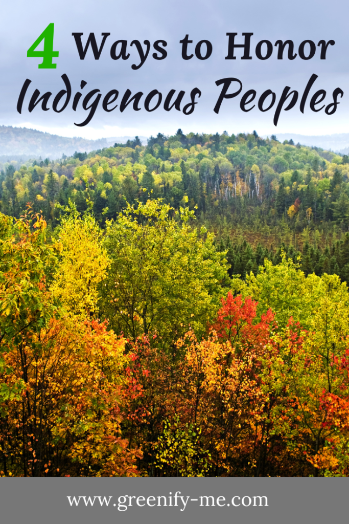 4 Ways to Honor Indigenous Peoples This Native American Heritage Month