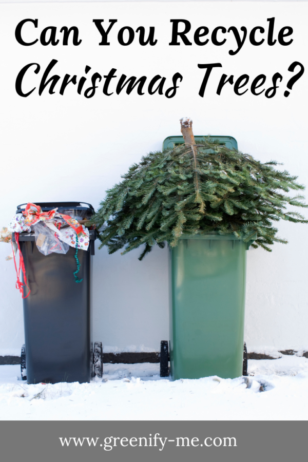 Can You Recycle Christmas Trees? Greenify Me