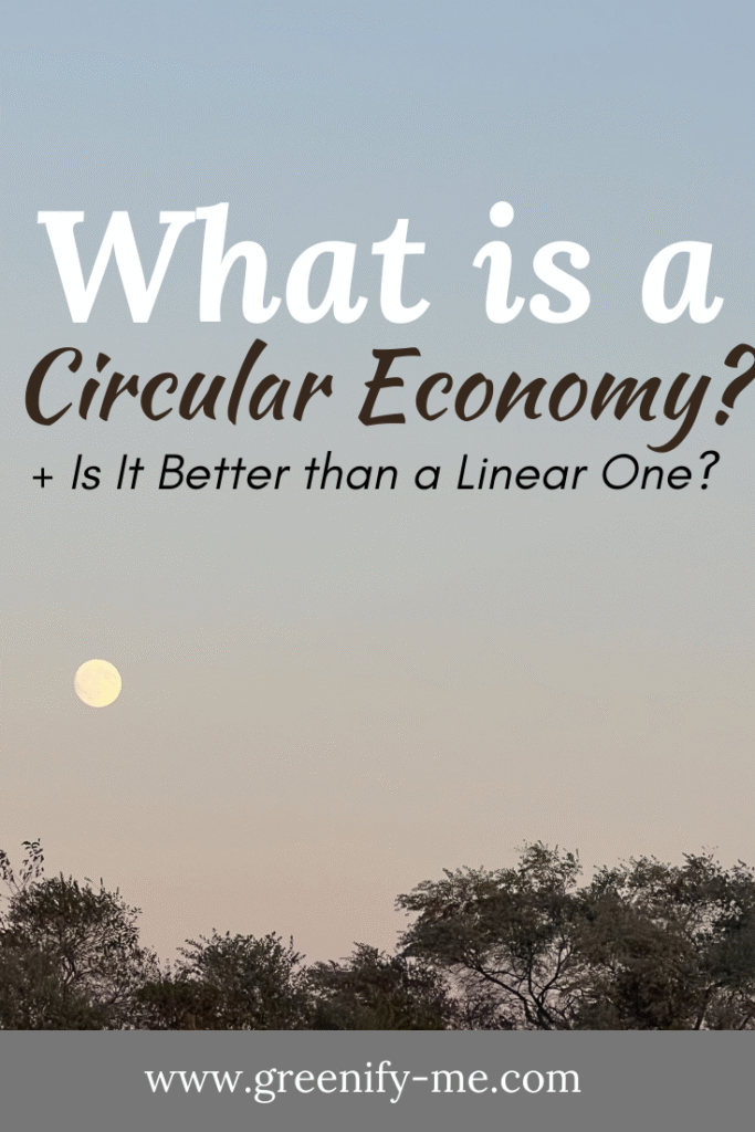 Linear Economy vs Circular Economy: What are They + Which is Better?