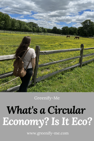 Linear Economy vs Circular Economy: What are They + Which is Better?