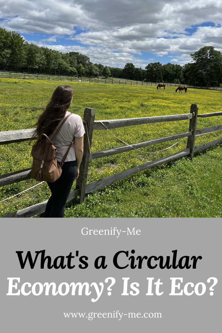 Linear Economy vs Circular Economy: What are They + Which is Better?