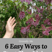 6 Easy Ways to Incorporate Slow Living Into Your Lifestyle