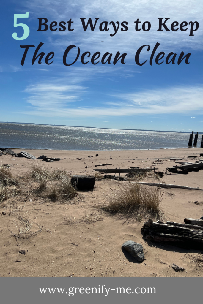 5 Best Ways to Keep The Ocean Clean