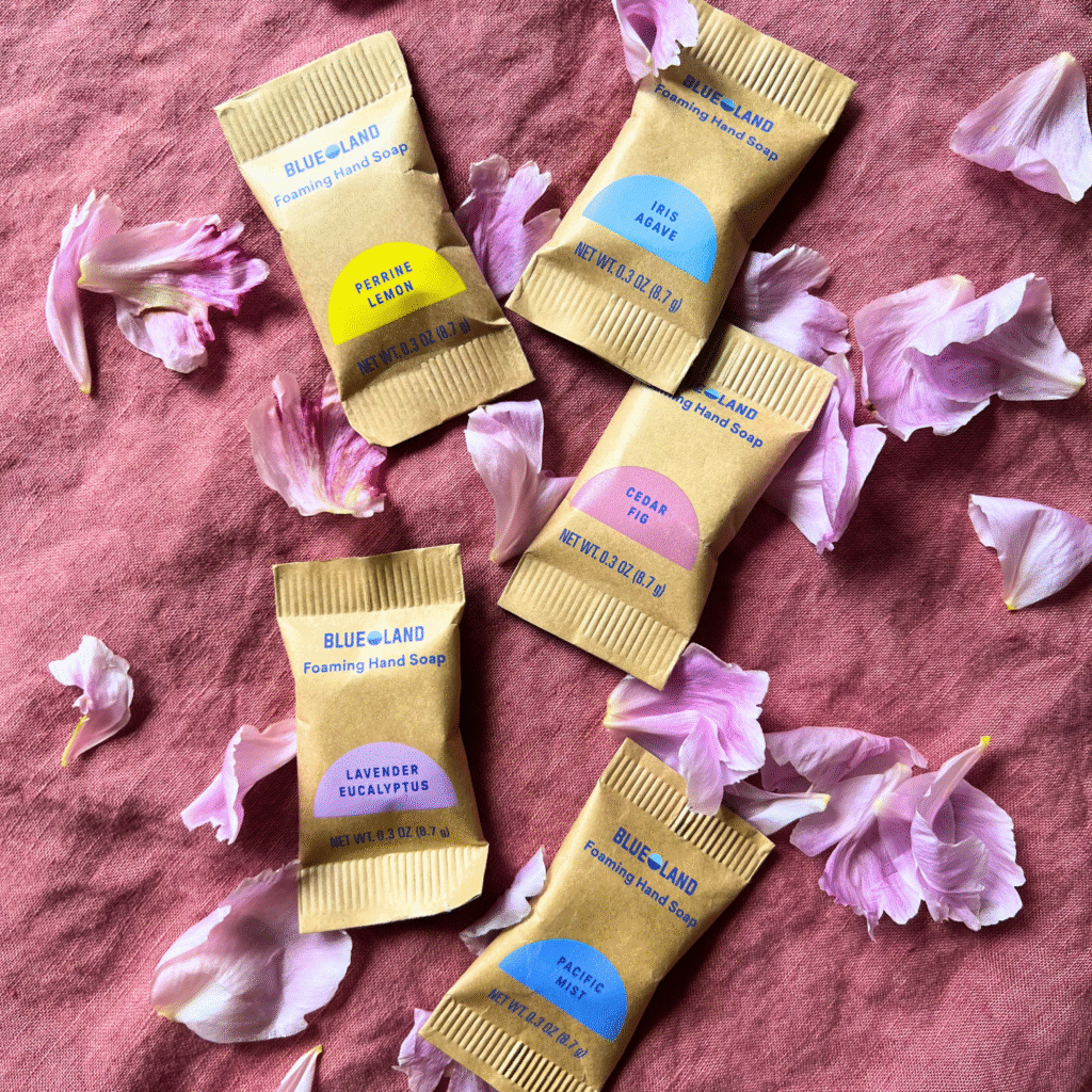 Blueland: 11 Best Zero Waste Hand Soap Brands For Clean Hands