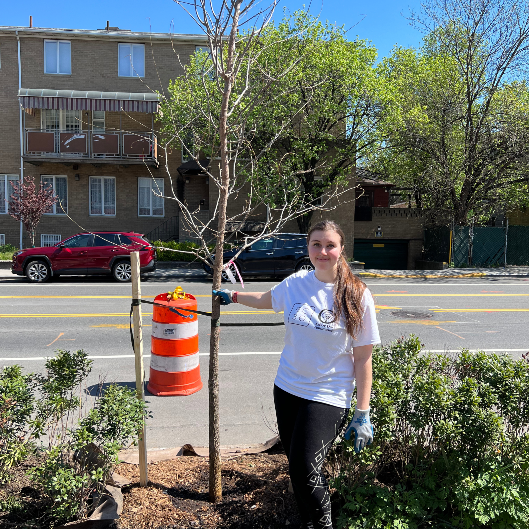 Image showcasing Save The Trees: 5 Easy Ways to Protect Forests + Urban Landscapes ...