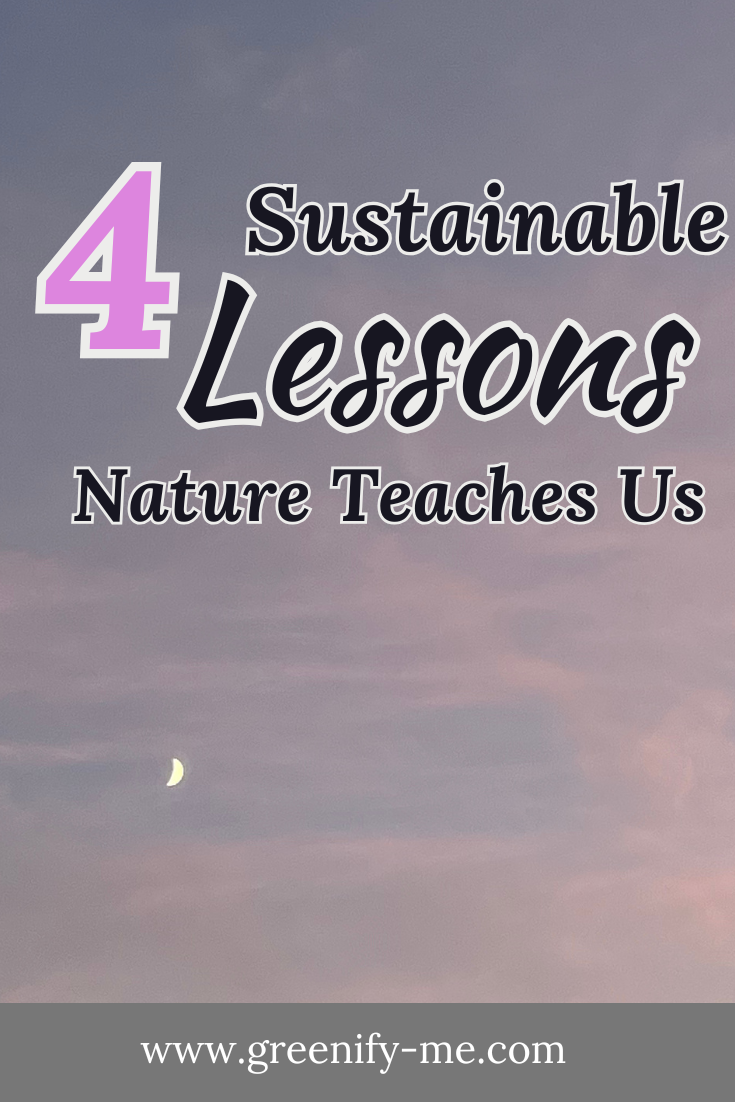 4 Sustainable Lessons Nature Teaches Us - Greenify Me