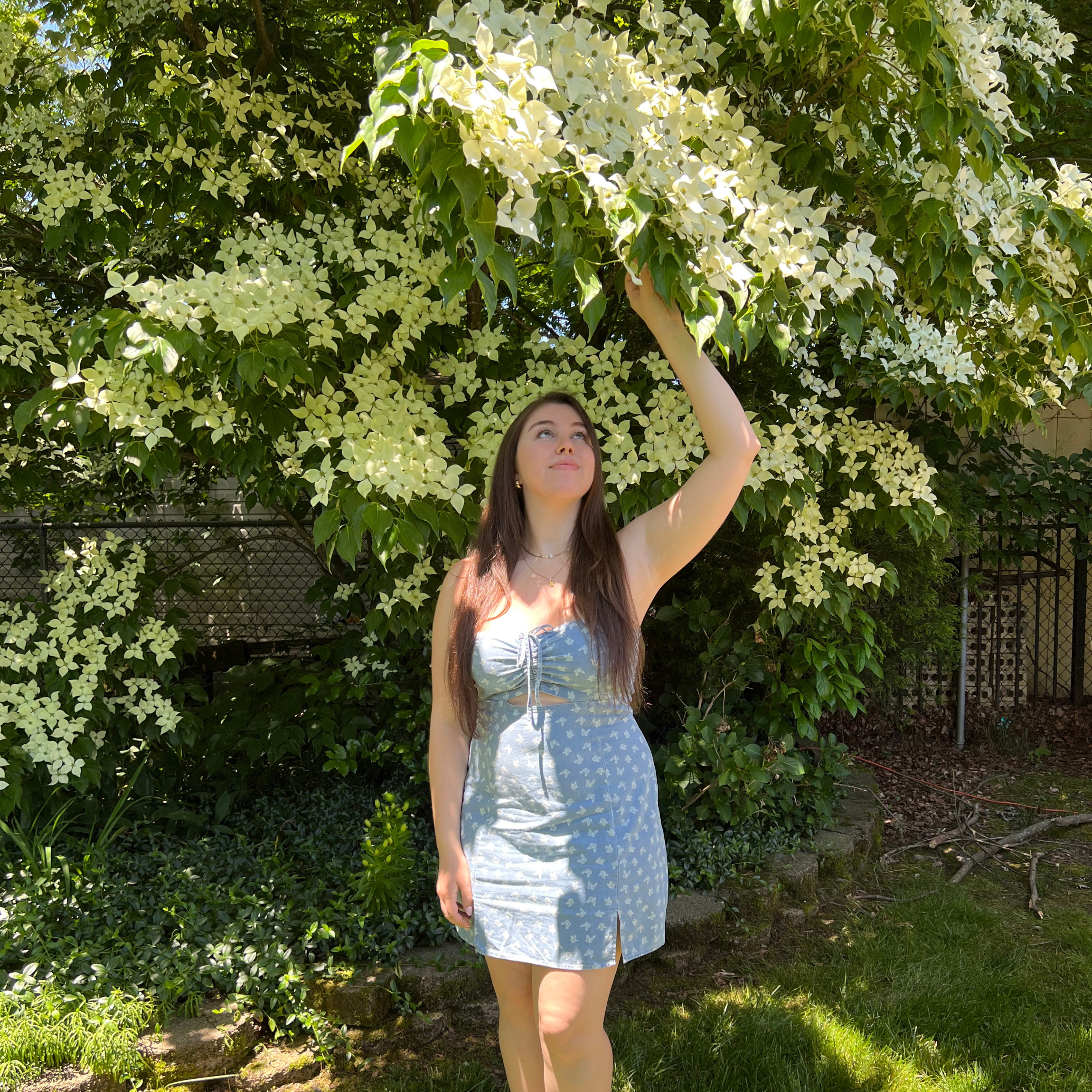 Ariana Storniolo: 50 Easy Ways to Celebrate Earth Month