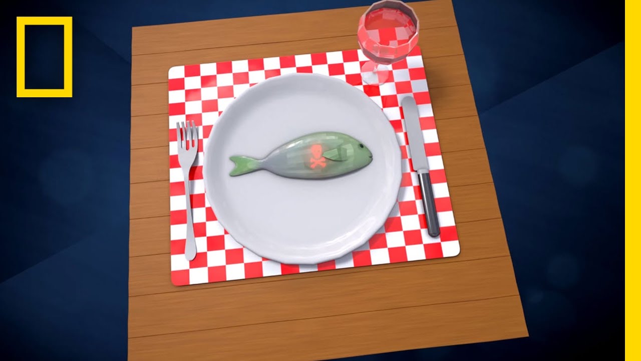 youtube placeholder image
